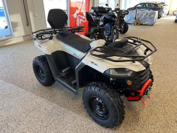 Segway Limited Edition Long T3B