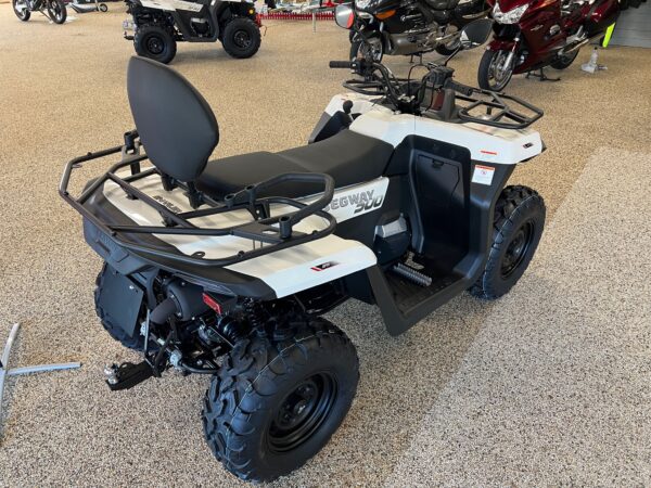 Segway Limited Edition Long T3B - Bild 2